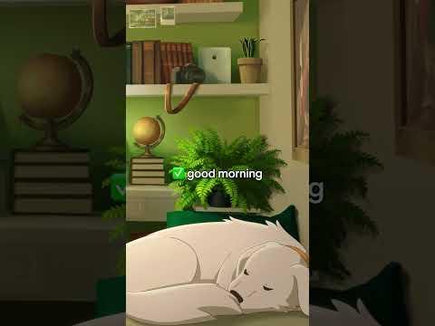 a perfectly balanced duo ⚖️ #lofigirl #doglover #studytube