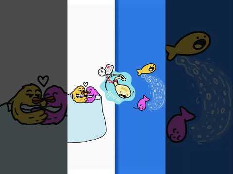 The Difference between Pollen and Sperm