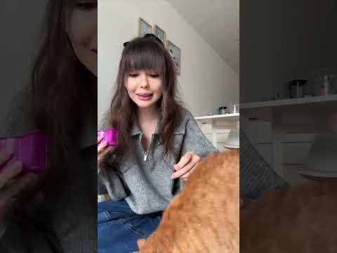 Bekommt Sarina eine neue Katze? 🐈 Mausi aus dem Tierschutz #ViktoriaSarina