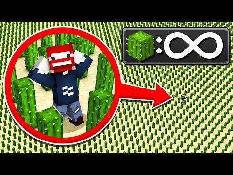 MINECRAFT mit 1.000.000.000 KAKTUS 