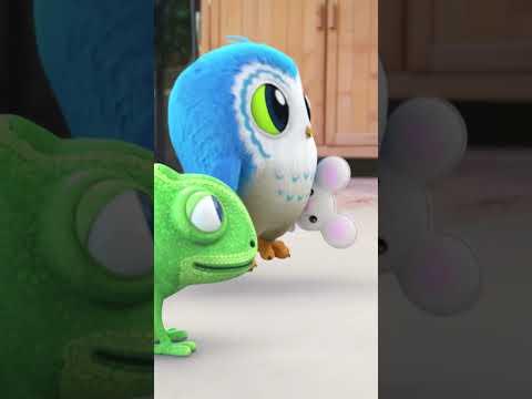 Antsy Was Not Impressed By Mighty Boop's Rescue