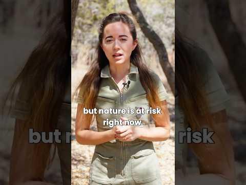 Happy Earth month 🌎💚 #shorts #conservation #worldwildlifefund #alveus #education #mayahiga