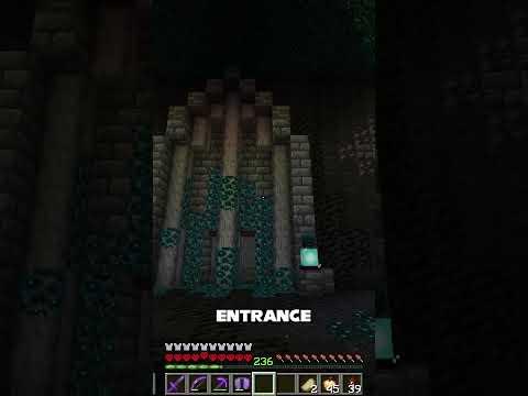 The Deadliest Warden Guardian in Minecraft