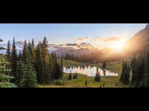 [SKZ] kz_pineforest_v2 in 01:55.820 by Samuel