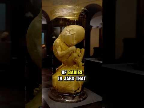 Europe's Weirdest Museum 🇷🇺 (TRIGGER WARNING)