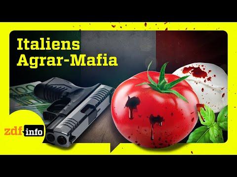 Geldwäsche und Giftmüll: So fest hat die Mafia Italiens Landwirtschaft im Griff | ZDFinfo Doku