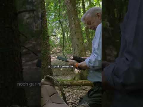 Dem Wolf auf der Spur #ykollektiv