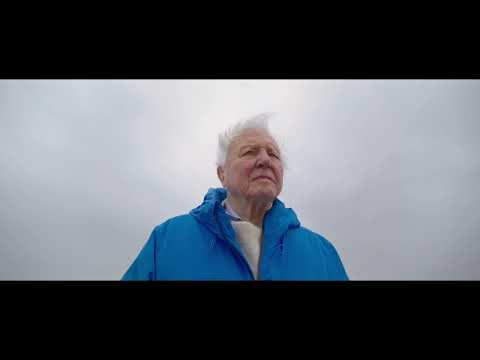 Ocean with David Attenborough (🎵 ONE WORLD)