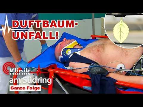 Mordversuch beim Hochstapler-Date? - Der Duftbaum-Anschlag! | Klinik am Südring | SAT.1