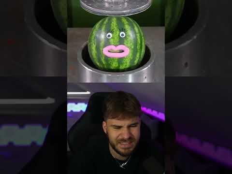 Kann irgendwas ÜBERLEBEN?!😳