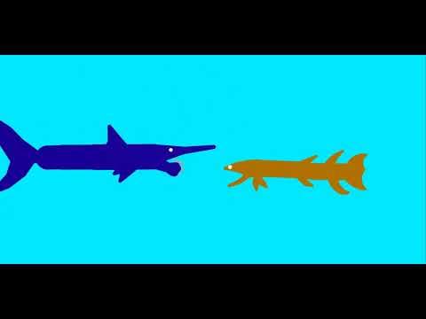 hyneria vs helicoprion