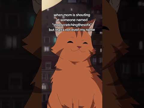 i don't feel concerned by this matter 😇  #lofigirl #cat