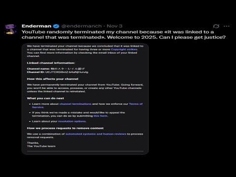 Latest Youtube Ban Wave is Nuts