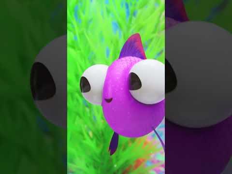 Findley Asks Dimples and Bodhi for Help #lucasthespider #kidsvideo #friends