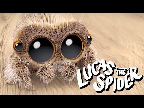 Lucas the Spider Has a SPECIAL MISSION + More Cartoons for Kids