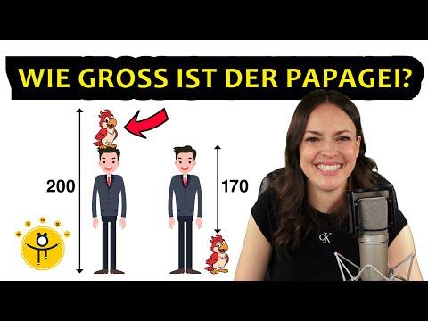 Viral auf Social Media – Wie groß ist der Papagei? 🦜 