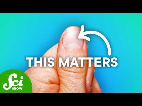 The Importance of Thumbnails