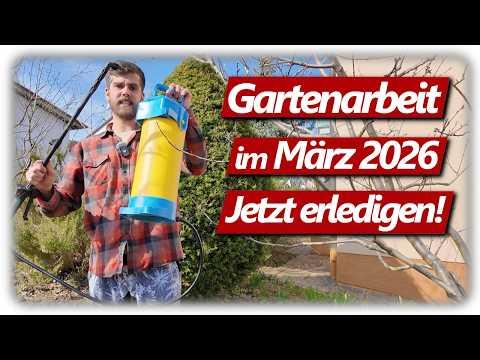 Gartenarbeit März | Neues Grundstück, Lavendelschnitt, Beerenobst pflegen/düngen und mehr