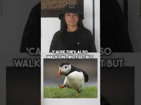 some uniquely hominin features #humanevolution #earlyhumans #prehistoric