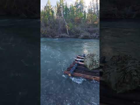 Damit hat niemand gerechnet