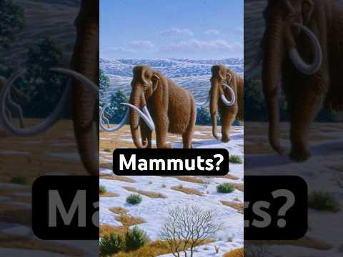 Gibt es bald wieder Mammuts?