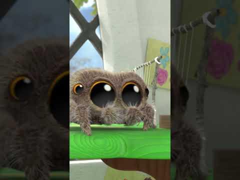 Lucas the Spider Saying Good Morning! #lucasthespider #friends #goodmorning