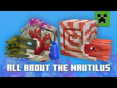 ALL ABOUT THE NAUTILUS