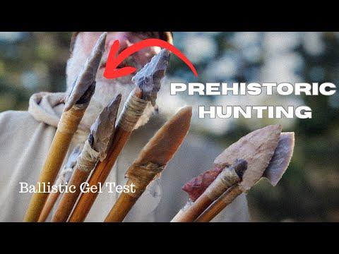 Prehistoric Hunting   Stone Point vs  Ballistics Gel