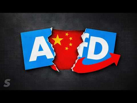 Der Spion bei der AfD