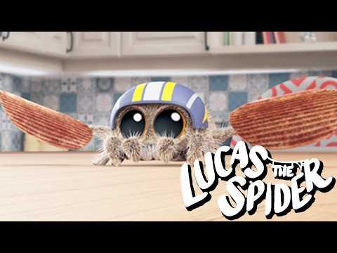 Lucas the Spider Tries to Fly | Kids Cartoon