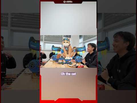 You can try, but you can’t stop THE CAT. 🐱 #OWCS #Overwatch #jetpackcat