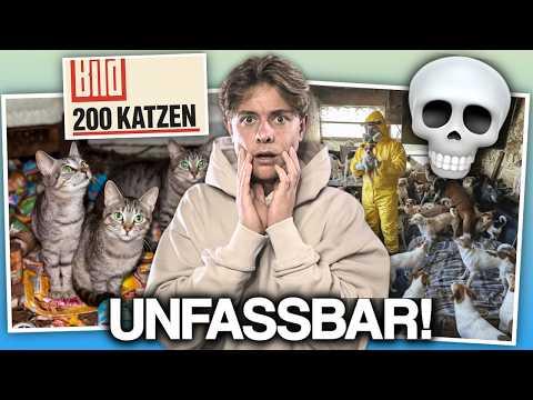 Animal Hoarding - Wenn Tierliebe zur Krankheit wird