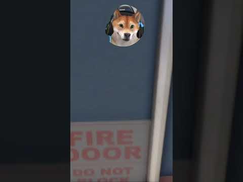 Die Flucht aus dem Krankenhaus? #gtarp #gta5 #csyon