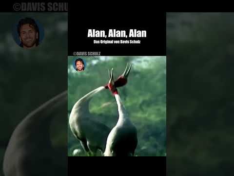 ALAN. #davisschulz #tiere #synchro #comedy #keinki #hunde #katzen