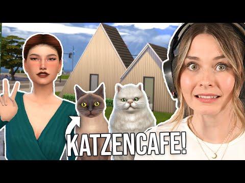 Wir eröffnen ein KATZENCAFE in Die Sims 4!  | simfinity