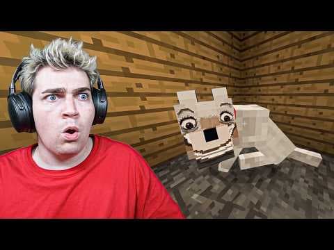 SCARY VIDEOS..
