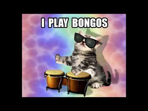 I'm A Cat