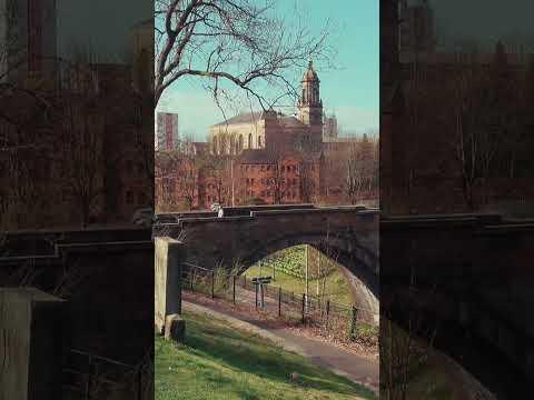 a beautiful cemetery, cobblestone streets, good morning with our pal, and you watching our vlog