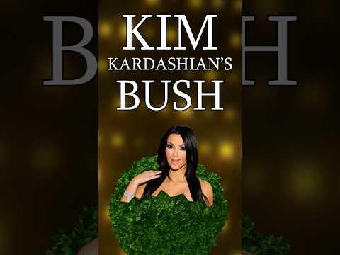 Kim Kardashian's New Wig?