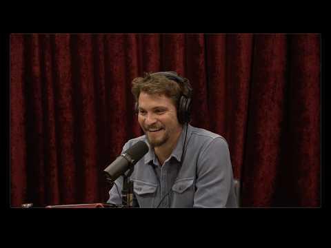 Joe Rogan Experience #2468 - Luke Grimes