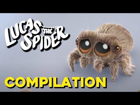 Lucas the Spider DRAMA Moments Compilation