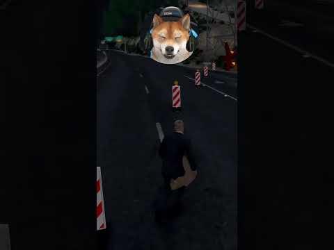 Onearly STÜRZT AB? #gtarp #gta5 #csyon