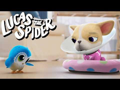 It's Not Ok to Laugh at Someone | Lucas the Spider
