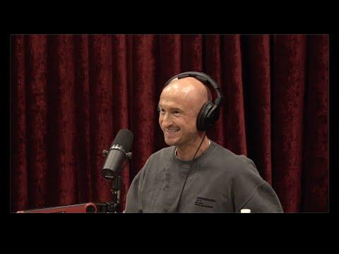 Joe Rogan Experience #2403 - Andrew Gallimore
