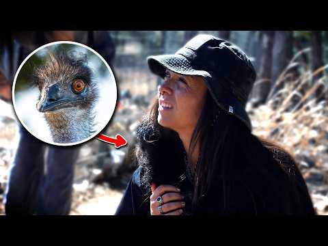 Lindsay Nikole Faces Her Fears of Birds at Alveus Sanctuary