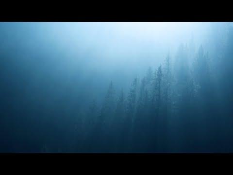 Ichika Nito - LA NUIT (official visualizer)