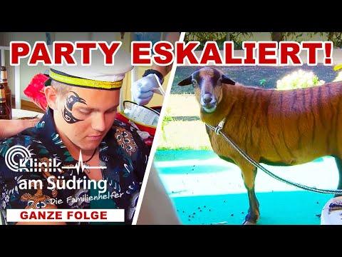 Eltern kommen heim: Party, Polizei & ein bemaltes SCHAF! | Die Familienhelfer