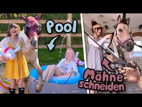 Poolday 💦 am Bauernhof (mit Pferden) + Mähne schneiden ✂️