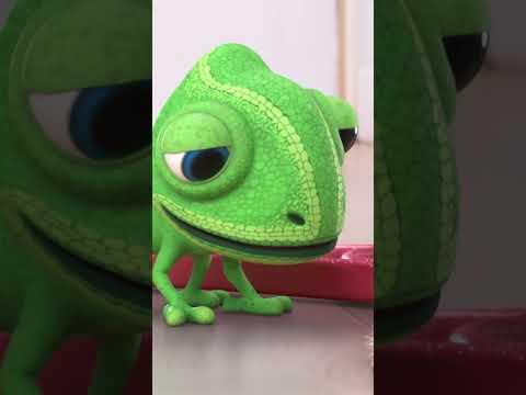 It Just Takes Some Practice #lucasthespider #practice #patience