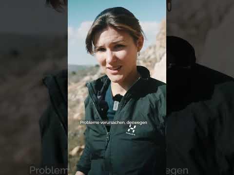 Kletterpark ist plötzlich Sperrgebiet #shorts